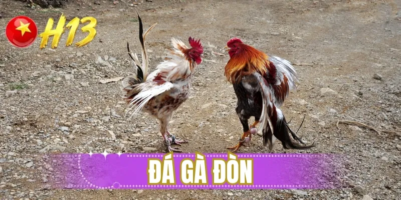 Đá gà đòn