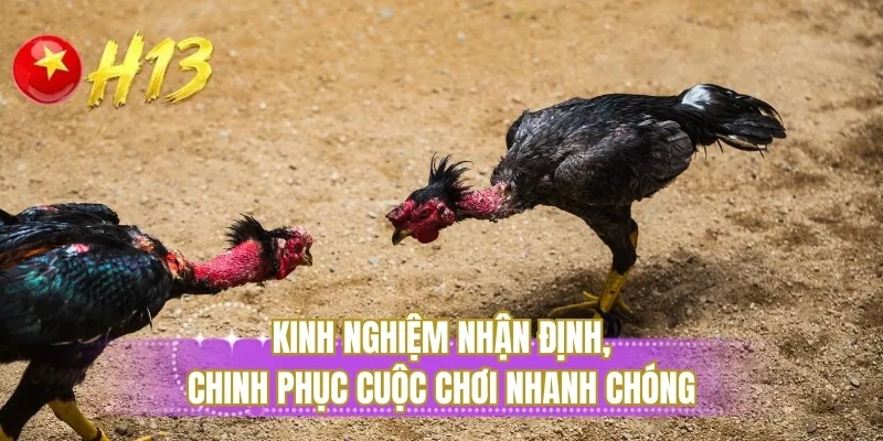 Kinh nghiệm nhận định, chinh phục cuộc chơi nhanh chóng