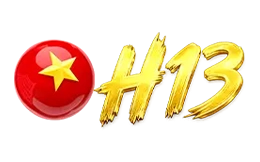 H13