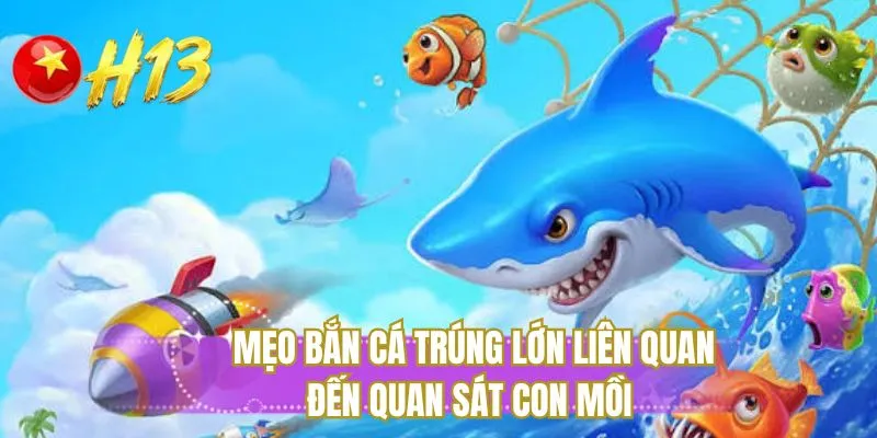 Mẹo bắn cá trúng lớn liên quan đến quan sát con mồi 