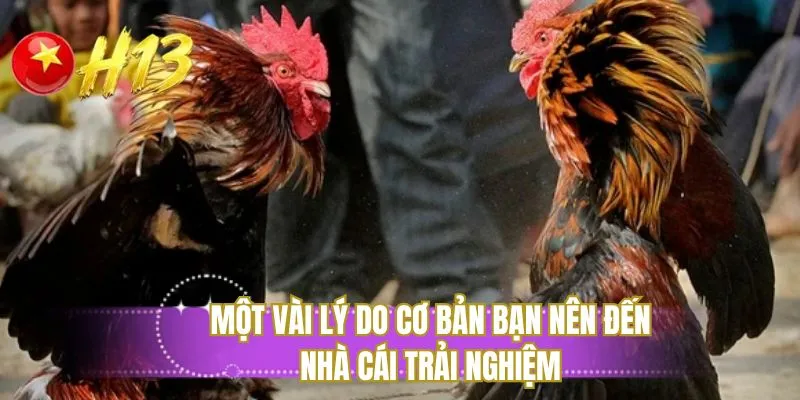 Một vài lý do cơ bản bạn nên đến nhà cái trải nghiệm