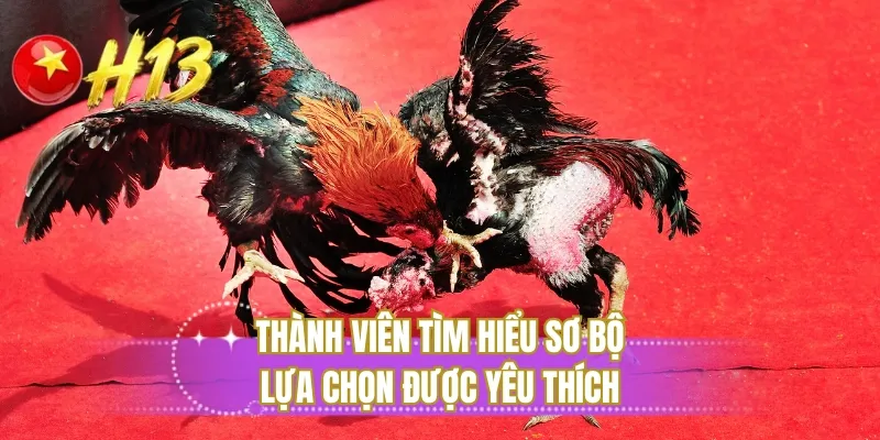 Thành viên tìm hiểu sơ bộ lựa chọn được yêu thích